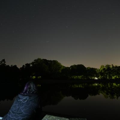 mira@social.purrple.place